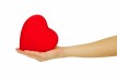 Net love