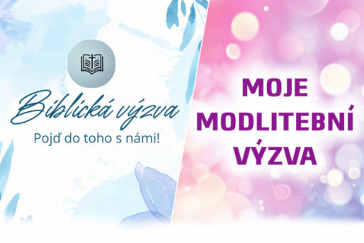 vyzvy-na-web-peh_i36.jpg
